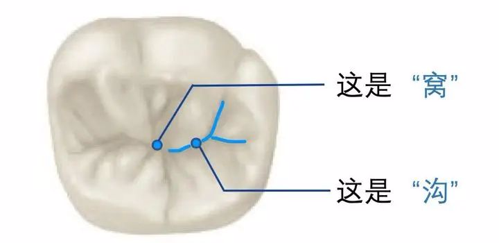 图片来源于网络，侵删